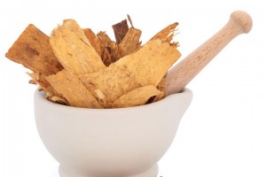 Immune System Booster