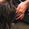 Video Tutorials: No Fuss, No Muss Thanksgiving Hair Styles