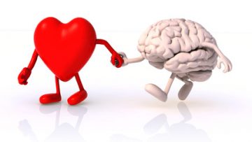 coeur_cerveau