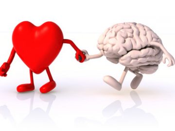 coeur_cerveau