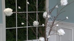 USA_0076_DIY Tree Poofs