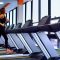 Your Wellness Fix: Workout Plan