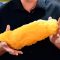 Eating Habits for Losing Fat